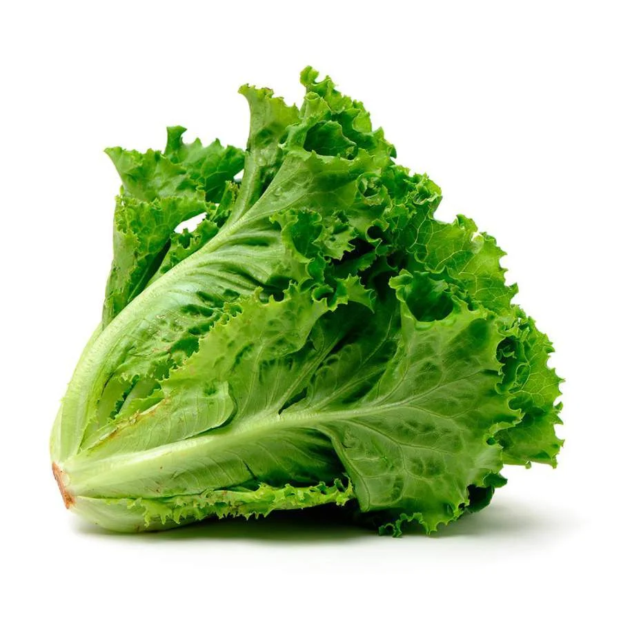Lechuga criolla por kg - pollera miniatura 1