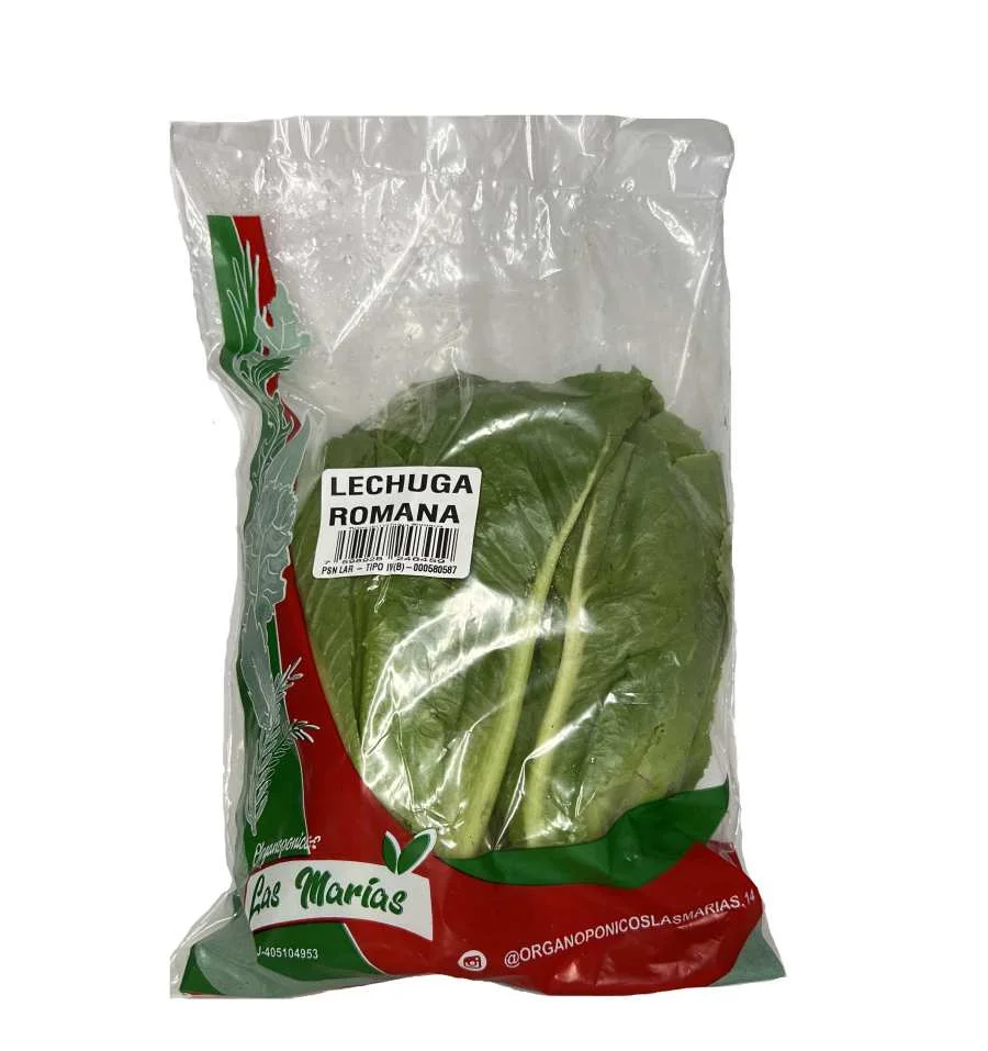 Lechuga romana las marias miniatura 2