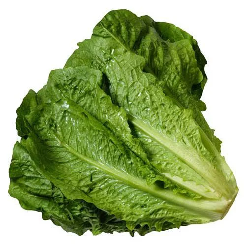 Lechuga romana por kg-pollera miniatura 1