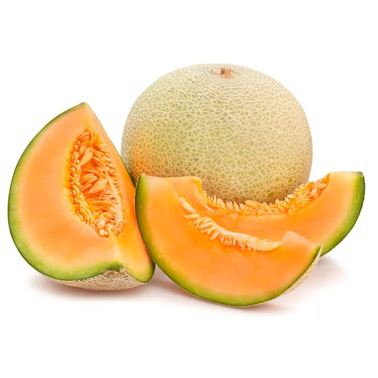Melon por kg - pollera miniatura 2