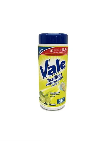 Toallas desinfectantes fresh power vale (45 unid) miniatura 1